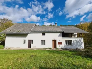 Prodej rodinného domu, Jenišovice, 283 m2