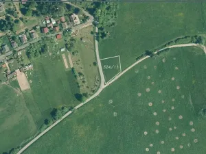 Dražba pole, Planá, 1400 m2