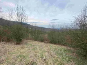 Dražba louky, Mírová pod Kozákovem, 1000 m2