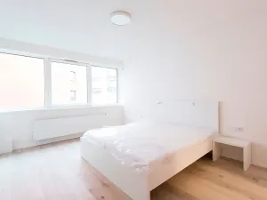 Pronájem bytu 2+kk, Praha - Nusle, V Horkách, 81 m2