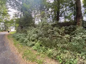 Dražba pozemku, Jindřichovice, 272 m2
