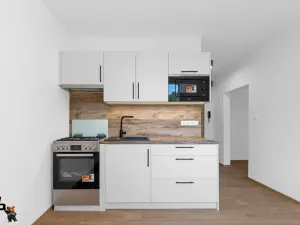 Prodej bytu 1+1, Frýdek-Místek, J. E. Purkyně, 35 m2