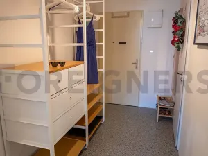 Pronájem bytu 1+1, Praha - Žižkov, Baranova, 35 m2