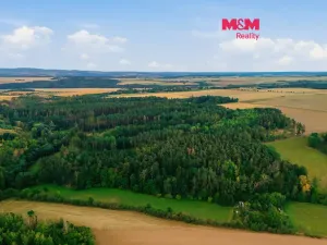 Prodej lesa, Břežany, 4230 m2