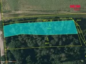 Prodej lesa, Břežany, 4230 m2