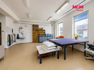Prodej obchodního prostoru, Letohrad, Petříkov, 1200 m2