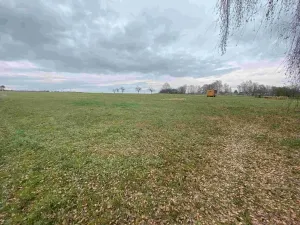 Dražba pozemku pro bydlení, Dolní Bukovsko, 1427 m2