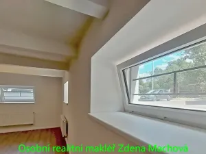 Pronájem kanceláře, Praha - Krč, U krčského nádraží, 52 m2