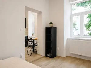 Pronájem bytu 1+1, Brno, Koliště, 30 m2