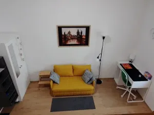 Prodej bytu 1+kk, Praha - Nové Město, Sokolská, 23 m2