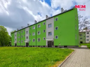 Prodej bytu 2+1, Horní Slavkov, Dlouhá, 50 m2