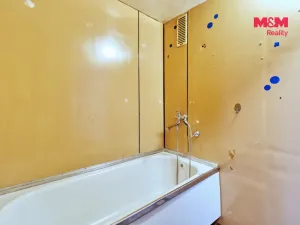 Prodej bytu 1+1, Most, Javorová, 33 m2