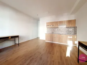Pronájem bytu 1+kk, Olomouc, Uhelná, 35 m2