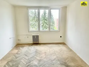 Prodej bytu 1+1, Tábor, 30 m2
