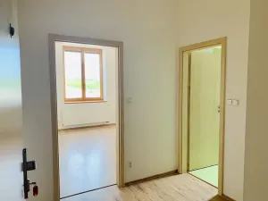 Pronájem bytu 1+kk, Mikulov, Bezručova, 30 m2
