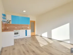 Pronájem bytu 1+kk, Ústí nad Labem, Baráčnická, 30 m2