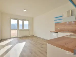 Pronájem bytu 1+kk, Ústí nad Labem, Baráčnická, 30 m2