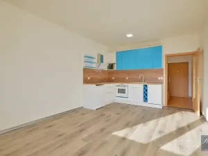 Pronájem bytu 1+kk, Ústí nad Labem, Baráčnická, 30 m2