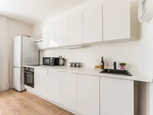 Pronájem bytu 2+kk, Albrechtice nad Orlicí, 1. máje, 43 m2