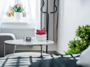 Pronájem bytu 1+kk, Albrechtice nad Orlicí, 1. máje, 26 m2