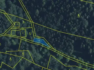 Prodej louky, Strážná, 212 m2
