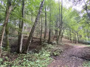 Prodej louky, Strážná, 212 m2