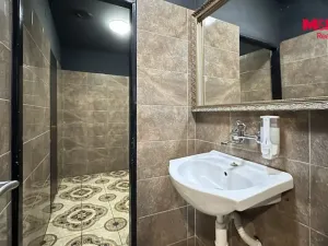 Pronájem restaurace, Mladá Boleslav - Mladá Boleslav II, Blahoslavova, 212 m2