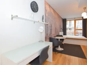 Pronájem bytu 1+kk, Praha - Žižkov, Štítného, 34 m2