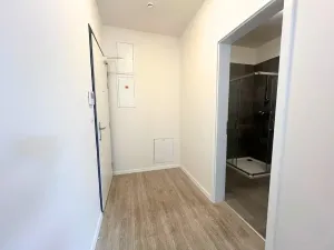 Pronájem bytu 1+kk, Praha - Smíchov, Pod Barvířkou, 48 m2
