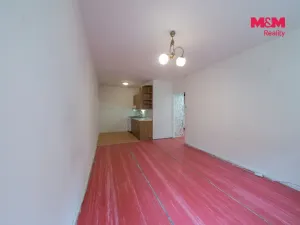 Prodej bytu 2+kk, Havířov - Podlesí, 17. listopadu, 40 m2