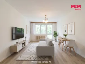Prodej bytu 2+kk, Havířov - Podlesí, 17. listopadu, 40 m2