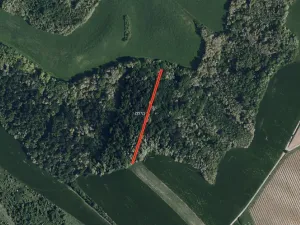 Prodej pole, Křepice, 6238 m2