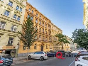 Prodej bytu 3+kk, Praha - Vinohrady, Šumavská, 100 m2
