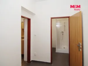 Pronájem kanceláře, Ostrava - Přívoz, Chopinova, 31 m2