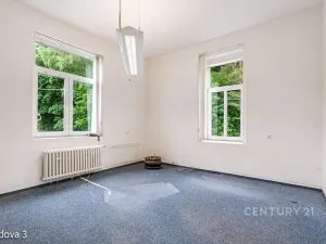 Pronájem kanceláře, Děčín, Košická, 635 m2