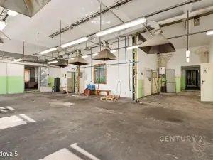 Pronájem skladu, Děčín, Rudolfova, 47 m2