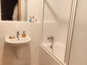 Pronájem bytu 1+kk, Praha - Krč, Panuškova, 44 m2