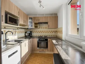 Prodej bytu 3+1, Kněževes, Štrosova, 63 m2