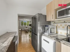 Prodej bytu 3+1, Kněževes, Štrosova, 63 m2