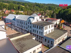 Pronájem výrobních prostor, Jílové - Modrá, 200 m2