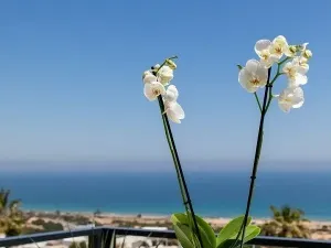 Prodej bytu 4+kk, Santa Pola, Alicante, Španělsko, 97 m2