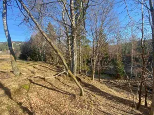 Prodej pole, Železná Ruda - Špičák, 1644 m2