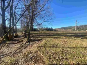Prodej pole, Železná Ruda - Špičák, 1644 m2