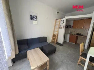 Pronájem bytu 1+kk, Ústí nad Labem - Střekov, Žukovova, 23 m2