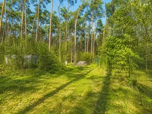 Prodej pozemku pro bydlení, Hradištko, Kersko, 4428 m2