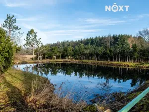 Prodej pozemku pro bydlení, Nové Mitrovice, 1882 m2