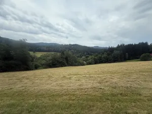Prodej louky, Hamry, 84928 m2