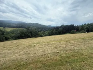 Prodej louky, Hamry, 84928 m2