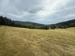 Prodej louky, Hamry, 84928 m2