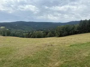 Prodej louky, Hamry, 84928 m2